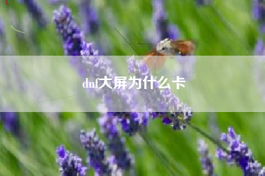dnf大屏为什么卡