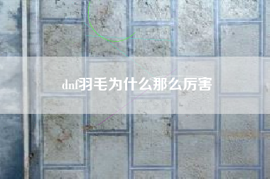 dnf羽毛为什么那么厉害