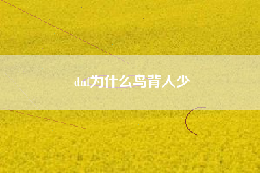 dnf为什么鸟背人少