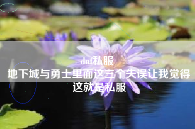 dnf私服 
地下城与勇士里面这三个失误让我觉得这就是私服