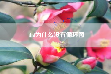 dnf为什么没有循环图