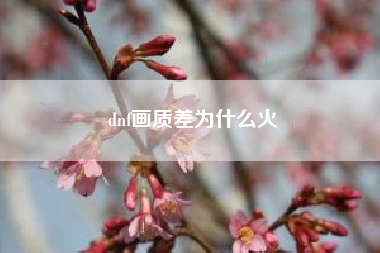 dnf画质差为什么火