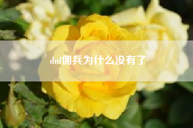 dnf佣兵为什么没有了