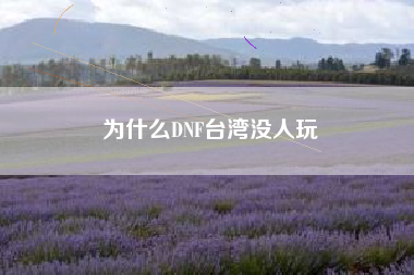 为什么DNF台湾没人玩