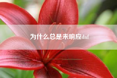 为什么总是未响应dnf