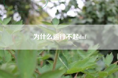 为什么运行不起dnf