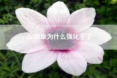 dnf勋章为什么强化不了