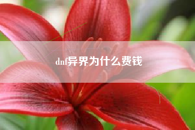 dnf异界为什么费钱