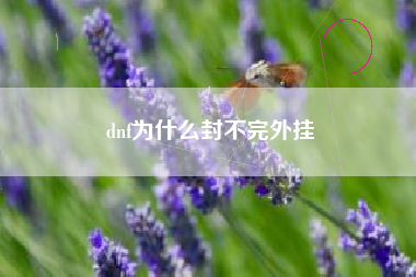 dnf为什么封不完外挂