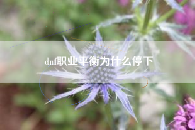 dnf职业平衡为什么停下