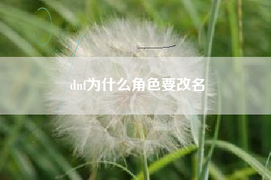 dnf为什么角色要改名