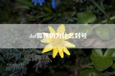 dnf狐狸奶为什么封号