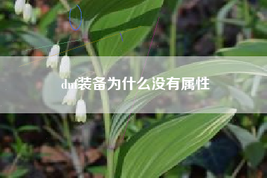 dnf装备为什么没有属性