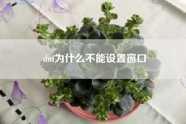 dnf为什么不能设置窗口