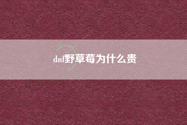 dnf野草莓为什么贵