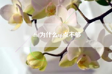 dnf为什么tp点不够