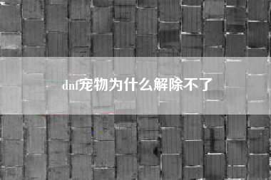 dnf宠物为什么解除不了