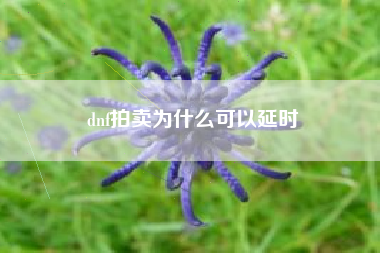dnf拍卖为什么可以延时