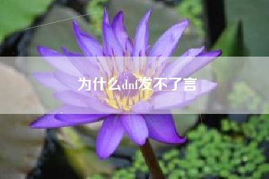 为什么dnf发不了言