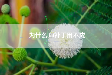 为什么dnf补丁用不成