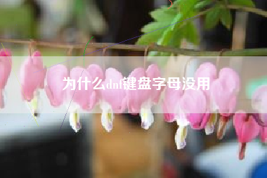 为什么dnf键盘字母没用