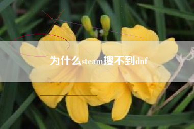 为什么steam搜不到dnf