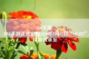 dnf手游 
DNF手游正式定档2020年8月12日“FIGHT”精神传承至
