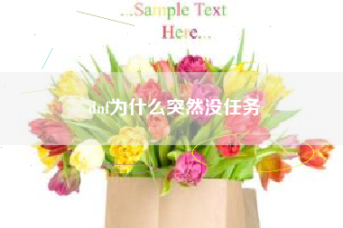 dnf为什么突然没任务