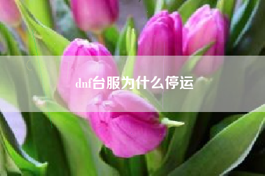 dnf台服为什么停运