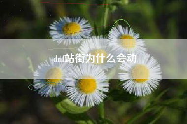 dnf站街为什么会动