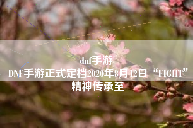 dnf手游 
DNF手游正式定档2020年8月12日“FIGHT”精神传承至