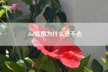 dnf结婚为什么进不去
