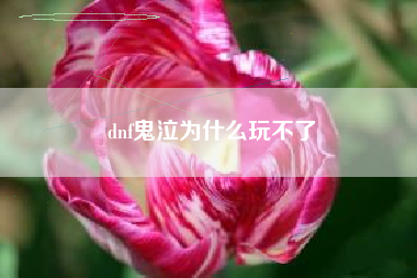 dnf鬼泣为什么玩不了
