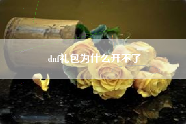 dnf礼包为什么开不了