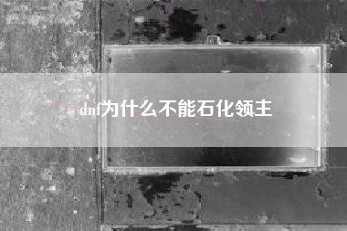 dnf为什么不能石化领主