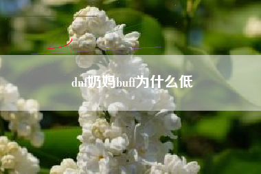 dnf奶妈buff为什么低