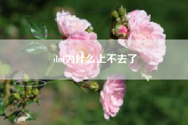 dnf为什么上不去了