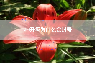 dnf升级为什么会封号