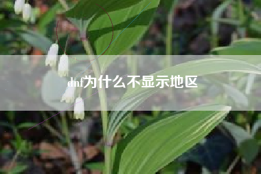 dnf为什么不显示地区