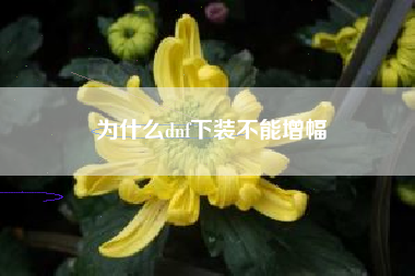 为什么dnf下装不能增幅