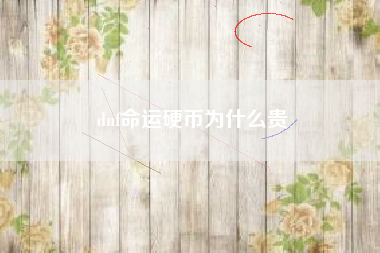 dnf命运硬币为什么贵