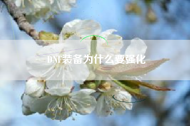DNF装备为什么要强化