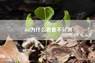dnf为什么老是不公测