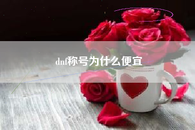 dnf称号为什么便宜