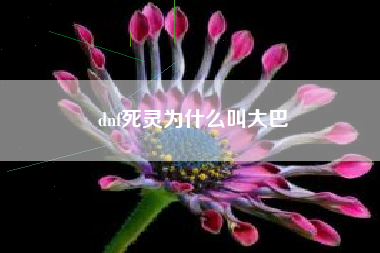 dnf死灵为什么叫大巴
