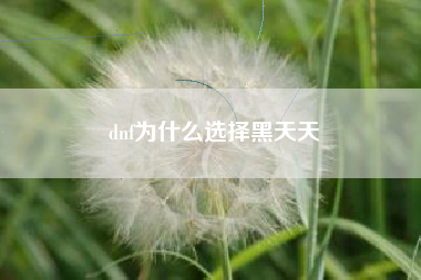 dnf为什么选择黑天天