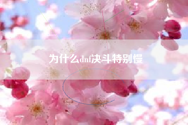 为什么dnf决斗特别慢