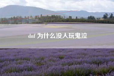 dnf 为什么没人玩鬼泣