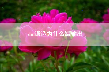 dnf锻造为什么减输出