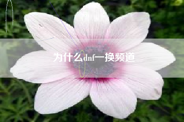 为什么dnf一换频道